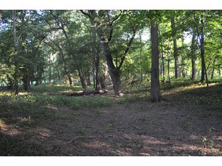 Property photo 53 - 64 Acre Farm Offered in 4 Tracts or in Combinations - Real Estate Auction